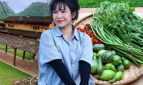 Cặp vợ chồng chi 3 tỷ xây nhà như cổ tích trên vùng núi Tuyên Quang: View triệu đô, 0 đồng rau củ