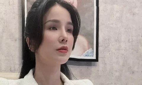 Diệp Lâm Anh xin lỗi