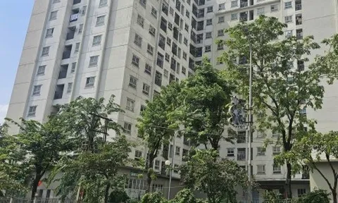 Bỗng dưng bị đuổi khỏi chung cư mua lại từ nhà ở xã hội