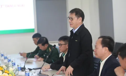 THACO AGRI dự kiến đạt doanh thu hơn 2.000 tỷ đồng từ dự án chăn nuôi bò 155 hecta ở Gia Lai, muốn mở rộng quy mô lên hơn 2.000 hecta