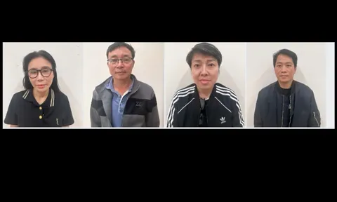 Khởi tố 8 bị can trong vụ án buôn lậu liên quan đến hệ sinh thái Mailisa