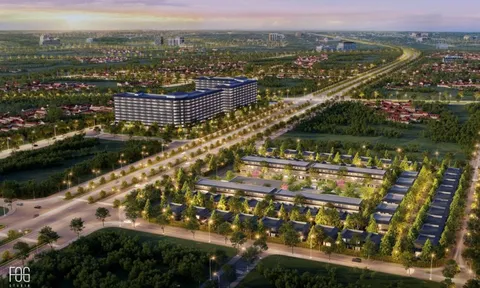 Chủ tịch Onsen Fuji với Thera Home và triết lý kinh doanh của người Nhật