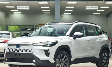 Xe hybird tăng lợi thế trên thị trường nhờ ưu đãi thuế