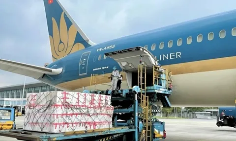 Vietnam Airlines ra thông báo quan trọng về bão lũ