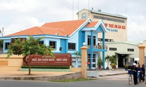 Thêm một cổ phiếu thủy sản chuẩn bị cập bến HoSE