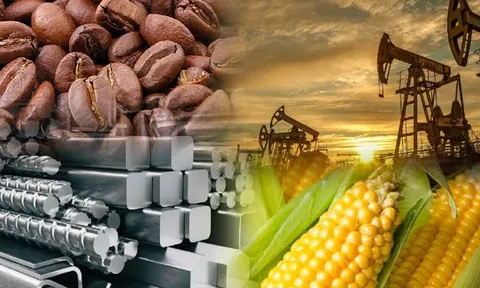 THỊ TRƯỜNG HÀNG HÓA: Ca cao rớt giá, ngô phục hồi nhẹ