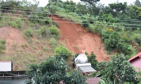 Lâm Đồng tiếp tục di dời hàng chục hộ dân vùng sạt lở D'ran đến nơi an toàn