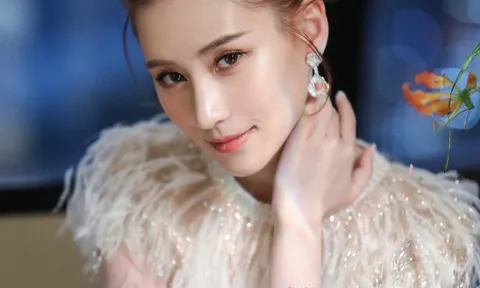 Học vấn của Hà Siêu Liên