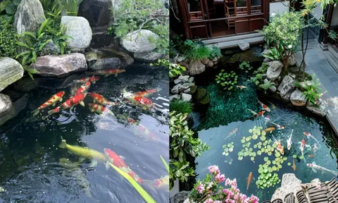 Trước nhà có ao phong thủy tốt hay xấu? Đọc xong bớt lo lấp ao vội