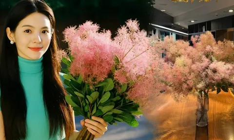 "Lạc lối" trước bình hoa khói tím: Loài cây nhìn như mây bông đang gây sốt góc nhà chị em