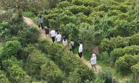 U40 về quê sống bên sông núi, tưởng được an nhàn nhưng 1 năm sau phải thốt lên: “Khác xa những gì tôi nghĩ”