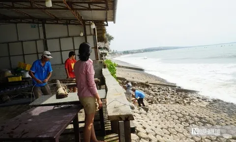 Lâm Đồng: Kè biển sạt lở, hàng trăm bao cát được huy động cứu hộ khẩn