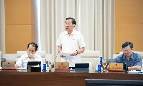 Cần hướng dẫn chi tiết cho việc thực thi Nghị quyết 173 và sửa đổi các luật liên quan