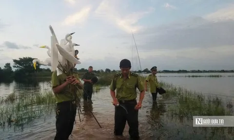 Huế triển khai nhiều biện pháp để ngăn chặn nạn săn bắt chim hoang dã