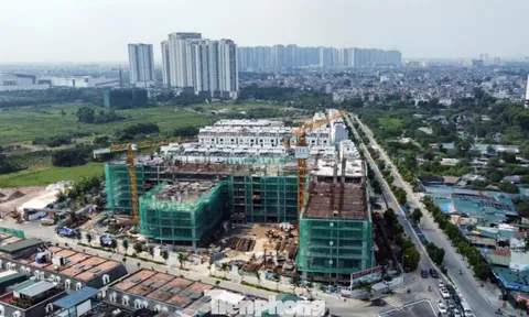 Nguồn cung bùng nổ, giá chung cư Hà Nội hạ nhiệt từ năm 2026?