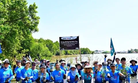 Ngân hàng UOB Việt Nam khởi động dự án trồng 10.000 cây tại rừng phòng hộ Biển Tây, chung tay vì nỗ lực chống biến đổi khí hậu ở Việt Nam