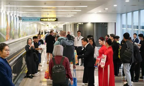 Hãng hàng không giá rẻ tốt nhất thế giới bất ngờ mở đường bay mới ở Việt Nam