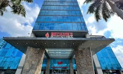 Becamex Group muốn góp thêm vốn vào 2 công ty liên kết