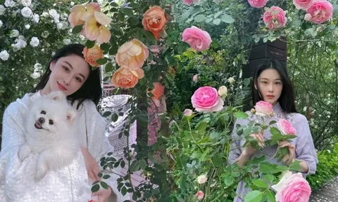 Từng là mỹ nhân thị phi, giờ là “bà chủ nông trại nhỏ”: Trương Hinh Dư khoe vườn hoa, vườn rau đẹp như tranh Monet khiến chị em phát sốt