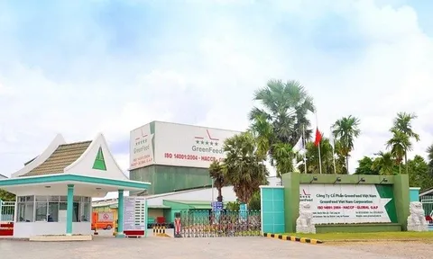 Lợi nhuận GreenFeed tăng vọt, dẫn đầu nhóm doanh nghiệp chăn nuôi
