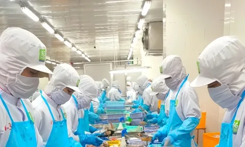 Xoay vốn cho sản xuất