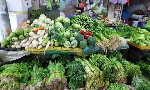 Giá rau xanh hạ nhiệt