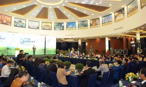 Các chuyên gia hội tụ tại World Tea Fest để đối thoại về trà: Trà sẽ tiếp tục là cây cầu mang lại sức khỏe, văn hóa, đối thoại, giáo dục và sự thịnh vượng cho cộng đồng