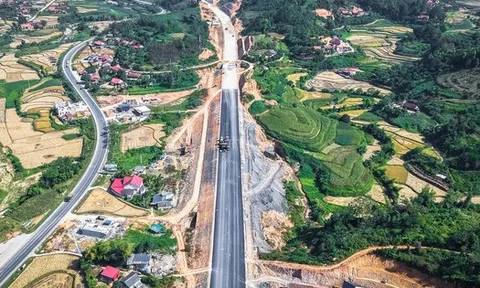Liên danh Đèo Cả huy động 2.754 người, 1.241 thiết bị, 'dồn lực' thông tuyến cao tốc 11.000 tỷ đồng