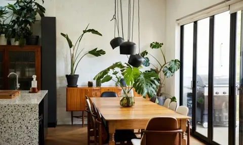 6 vị trí trong nhà tuyệt đối không được đặt cây: Số 3 khiến nhiều người "ngã ngửa"