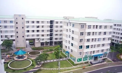 Lãi suất cho người trẻ vay mua nhà hiện ra sao?