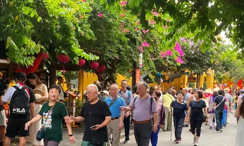 Lý do khách quốc tế nườm nượp đến Việt Nam