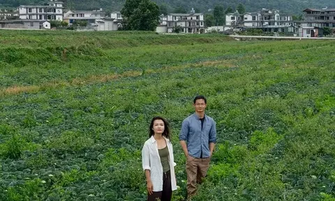 U30 bỏ phố chuyển về vùng núi "dưỡng già", chưa đầy 1 năm đã thảng thốt: “Đó không phải cuộc sống tôi muốn”