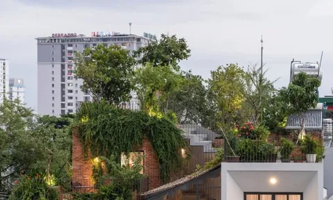 'Biến' sân thượng thành công viên tư gia