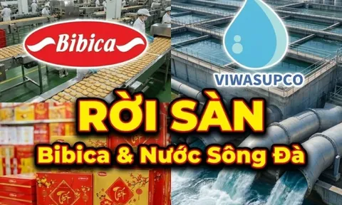 2 công ty con của GELEX và PAN Group chính thức bị huỷ tư cách đại chúng