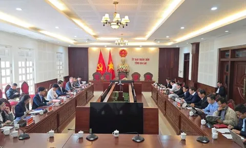 Tin vui cho Gia Lai: Liên doanh DHN muốn mở rộng dự án nông nghiệp công nghệ cao trên địa bàn