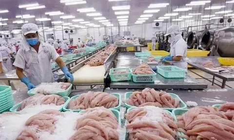 Xuất khẩu thuỷ sản có thể lập kỷ lục mới trong năm 2025