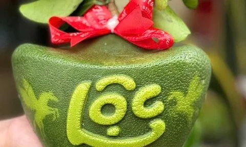 Bất ngờ về thị trường trái cây độc lạ chưng Tết 2026