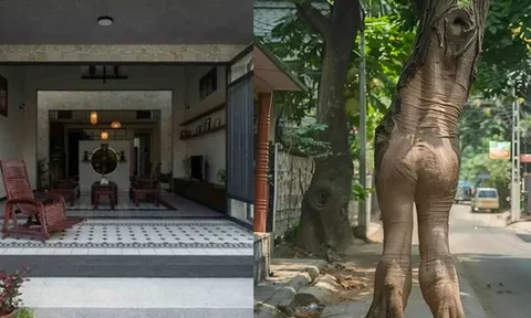 3 dấu hiệu nhận biết ngôi nhà nặng khí, long mạch không ổn