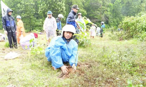 Một tỷ cây xanh và bước chuyển mới của nông thôn Việt Nam