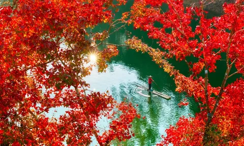 Hồ nhân tạo ở Cao Bằng rực rỡ như trời Âu mùa phong hương thay lá