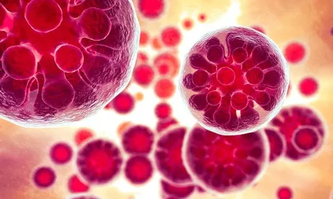 Nhiễm trùng nấm khiến 1 người nguy kịch và 18 ca mắc bệnh