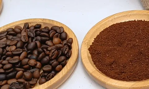 Giá cà phê hôm nay 13-12: Cuối tuần lao dốc, mốc 100.000 đồng/kg không còn