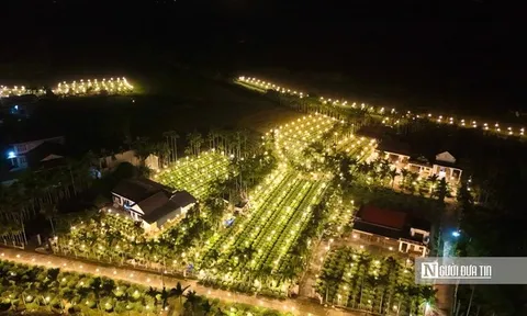 Nông dân Quảng Ngãi trắng đêm chong đèn, giữ ấm cho hoa Tết