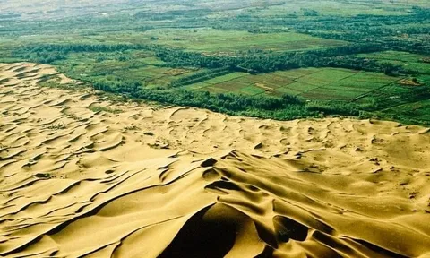 Kỳ tích gọi tên Trung Quốc: trồng 100 tỷ cây xanh dựng ‘vạn lý trường thành’ chặn đà mở rộng của 2 sa mạc khổng lồ, tăng 10% diện tích rừng của Trái Đất