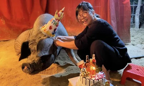 Sao Việt nuôi lợn ở biệt thự 1400 m² giữa phố cổ, nói 1 câu về chuyện để lại tài sản cho con quá bất ngờ