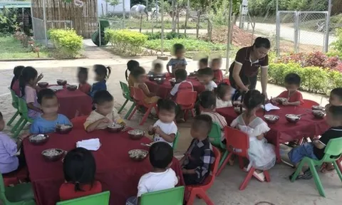 MoMo lên tiếng về công việc của ông Hoàng Hoa Trung liên quan dự án "Nuôi em"