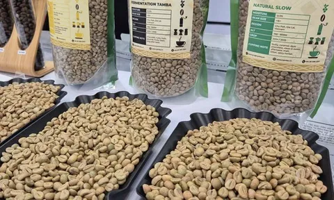 Giá cà phê hôm nay 16-12: Thủng mốc quan trọng, Đức chi hơn 1 tỉ USD nhập cà phê Việt