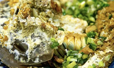 Món hải sản Quảng Ninh "ăn nhầm là kịch độc", nhưng vẫn khiến dân sành ăn mê mẩn