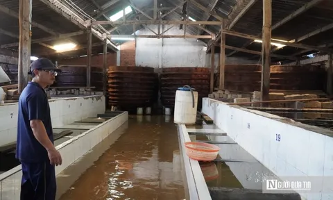 Mưa lũ làm "gián đoạn" chuỗi sản xuất, làng nghề nước mắm Lâm Đồng gấp rút phục hồi