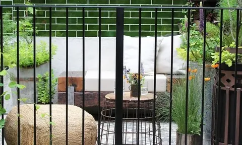 Trồng cây ban công kỵ nhất 5 sai lầm này: Tiếc là nhiều gia chủ chẳng mấy quan tâm